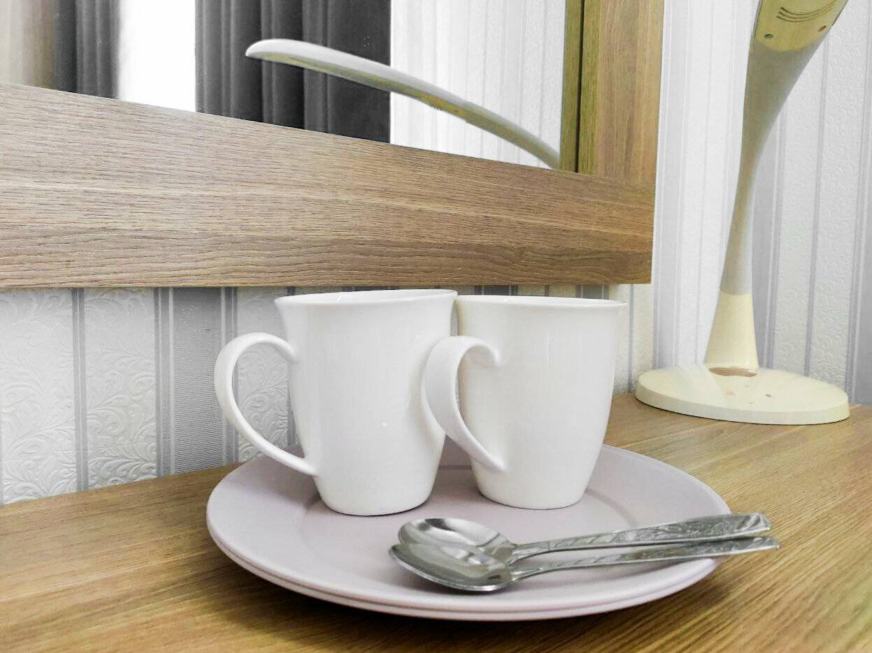 Фотографии номера Стандартный двухместный номер с 1 кроватью в Гостинице Авантаж Ессентуки